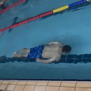 🌊 대전 서구 관저동🌊아이가 먼저 "오늘 또 가요?" 하는 곳강호해솔에서 온 가족이 함께