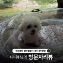 대추나무산장 이미지