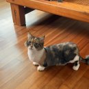 WR(부산광역시 부산진구)-[전포대로]-하-15 | 하늘연달 두 번째 일상 (김원중 또 나온다)