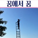 꿈속에서 꿈을 꾸는 꿈, 실수하거나 무서운꿈, 꿈에서 깨는 꿈 이미지