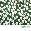서림바이오 이미지