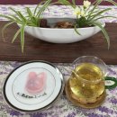 40+요가-몸과 마음의 건강으로 찾는 행복 | 대구명상센터 후기｜난임 4년 끝, 시술 없이 40세 자연임신 실제 경험