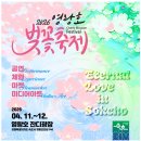 시립박물관 노리숲길 | 2026 속초 가볼만한곳 노리숲길 숲속마켓! 봄 나들이 축제 일정 안내