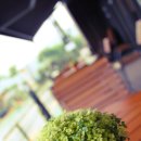 일마레(il mare) 이미지