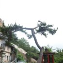 샘들어린이공원 | [부산] 어린이대공원-만덕역 산행후기---2026년 7월 8일(수)