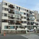 당리동-19 이미지