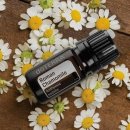 대지오일 이미지