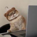 아빠가 만든 카이센동 | 소중한 29번째 생일 일기ෆ (8.24-9.22)