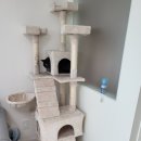 금왕유치원 | [나르샤매트] 음성 금왕휴먼시아 || 강아지&amp;고양이 반려동물을 위한 || 매트시공 후기