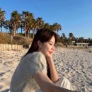 시그널패션 이미지