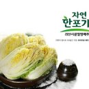 괴산군, 2016년 농어촌민박 서비스 및 안전교육 실시 이미지