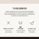 파우제 (pause) 이미지