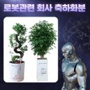 화분인간 | 로봇 AI 기업 회사 확장 이전 취임 축하 화분