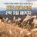 원천목장 | 제주 오름 추천 제주 패키지 여행 11월 2박 3일 트레킹 숲길 한라산 둘레길