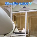 칠월펜션 이미지