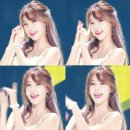 별바라기 이미지