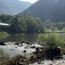 충청도충남충북횟집 | 충남 보은 서원계곡 주말 후기 ㅣ 장마 후 계곡 상태