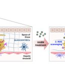 이화메디슨 이미지