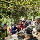 만물농장 이미지