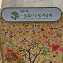 DDP 제12회 서울도시농업박람회와 2023 전태일다리 축제 이미지