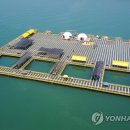 천수만해상낚시공원 이미지