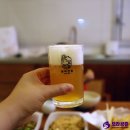 엄지네꼬마김밥 | 속초 관광 시장 먹거리! 엄지네 포장마차 + 속초 새우아저씨 + 진양횟집 물회 포장