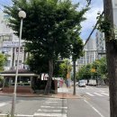 어원장의피부연구소 | 문래동 바디관리 ‘어원장의 피부연구소’ 인비덤 등관리 솔직후기