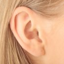 귀건강이혈테라피 이미지