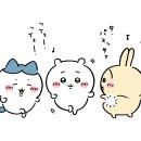시우 이미지