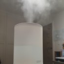 H-070 | 모아니스 대용량 5L 초음파 가습기 3개월 사용 후기