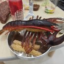 월드킹 안산점 이미지