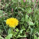 덕산기 농장 이미지