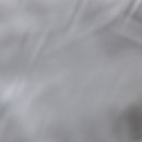 쌍다리돼지불백 양재점 이미지