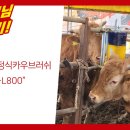 (주)황소농기계 | [황소농기계]고정식 카우브러쉬 / 고객님 후기사진!