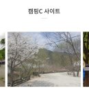 무릉도원 캠핑장 이미지