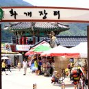 화개농산