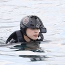 본보야지