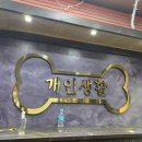 개인생활펫 이미지