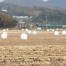 석모도 힐링공원 이미지