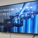 아카데미블레스 | #펫아로마#강아지아로마#고양이아로마#펫아로마ISO국제자격증#블레스펫아카데미 7주차 수업후기