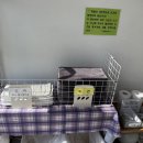 수산빌라(임산리) 앞 | [포항 애견 동반 여행] 포항 남구 ‘데이토나 풀빌라’ 애견 동반 오션뷰 숙소 이용후기