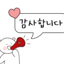 덕크로싱