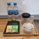 도시고양이생존연구소 이미지