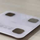 반하다펫 | 이네브 체중계 LED 불빛에 반하다