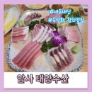 [태양수산]강동구 암사 횟집 &#34;태양수산&#34; 가성비 참치 내돈내산 후기