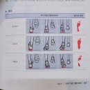 러닝화의 종류 (스타짐서면점-범일/서면/부산진구 헬스,PT)