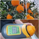 상읍농장 이미지