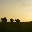 우치농장 이미지