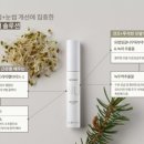 래쉬브로우 이미지