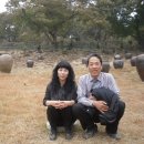 장안농장 이미지